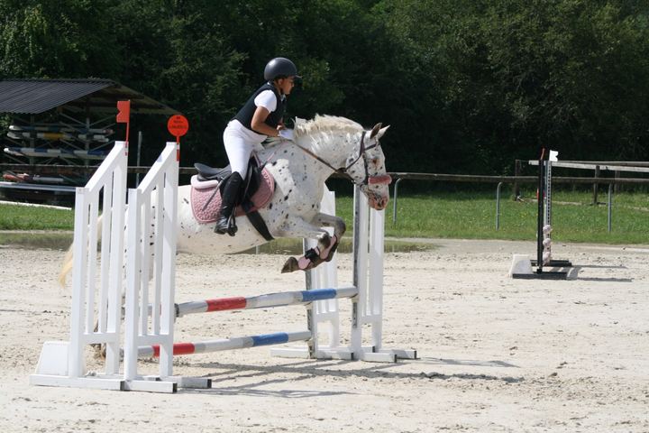 Photo 1 de Bella