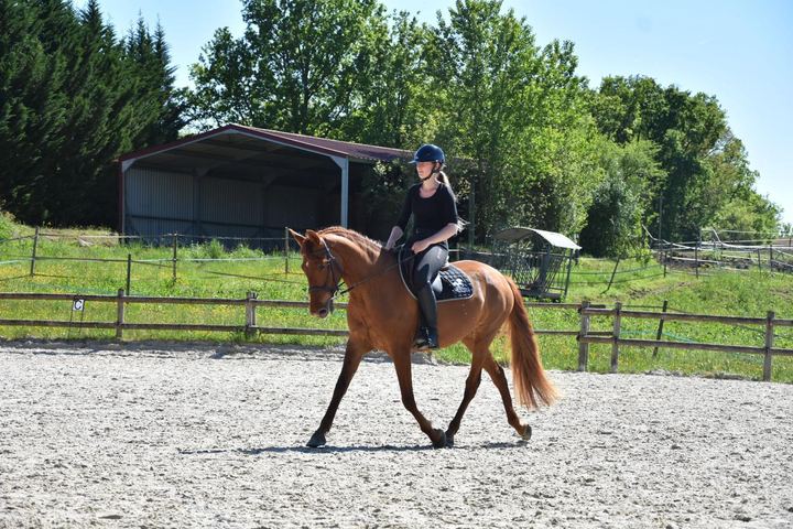 Photo 1 de Elsa