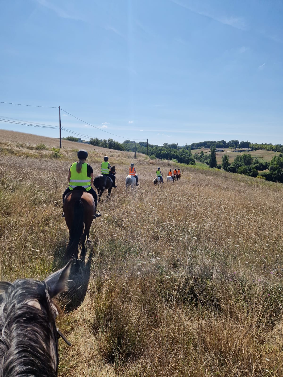 Balade avec galop / Buitenrit met galop
