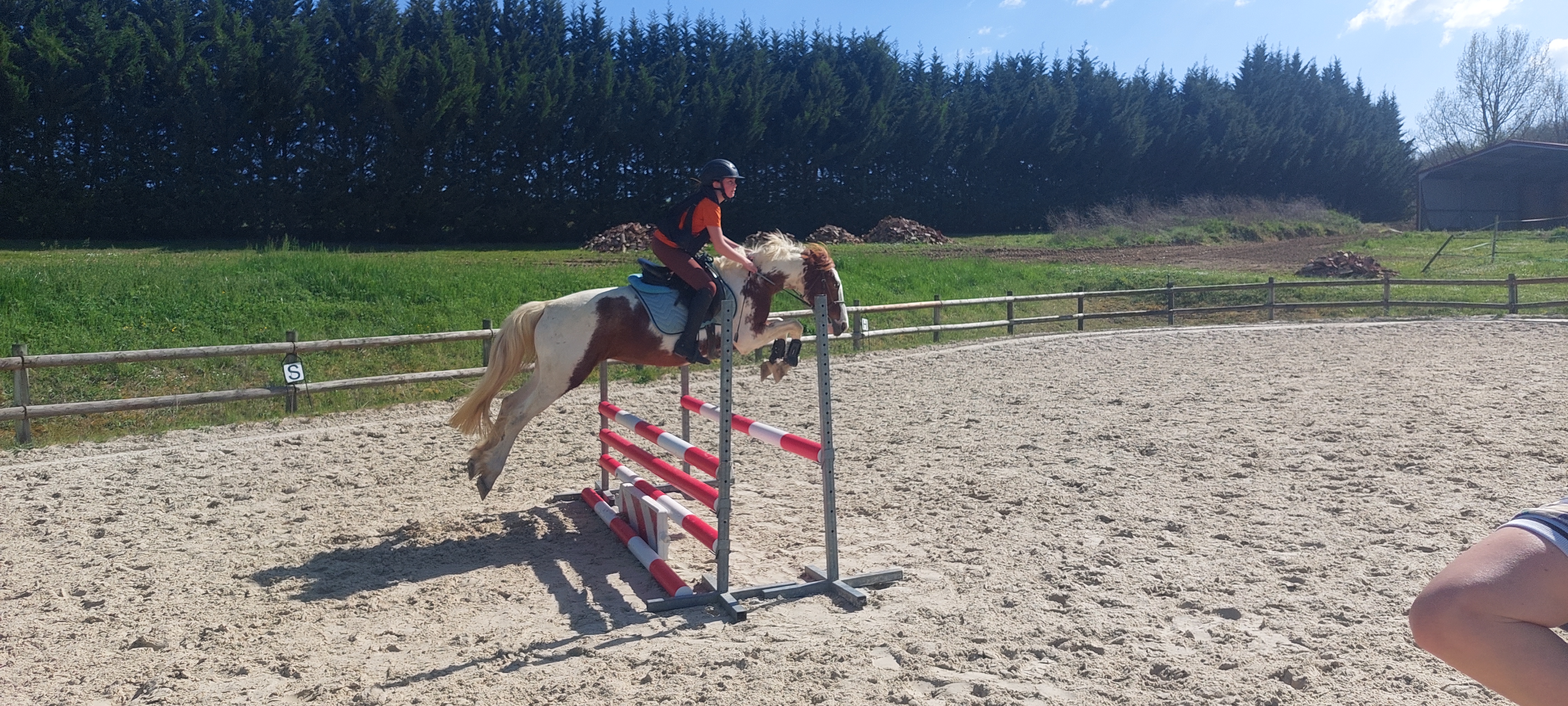 cours de saut/spring les gevorderdenev