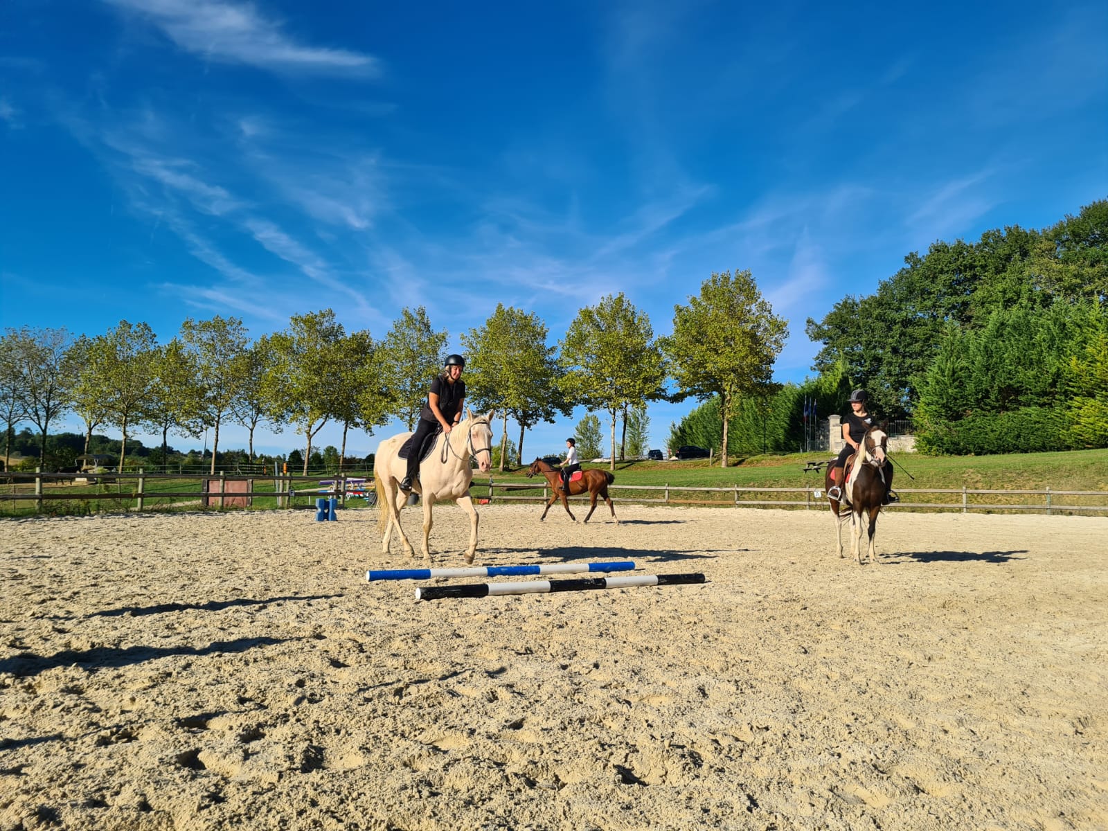 cours confirmé/ gevorderden les