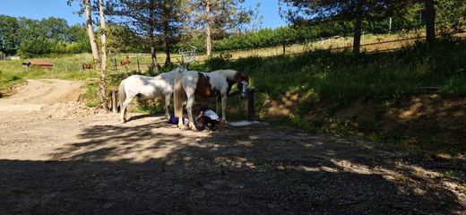 Photo 6 des Écuries de Merlanes