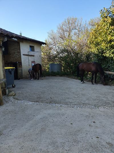 Centre équestre - Aire de pansage et douche