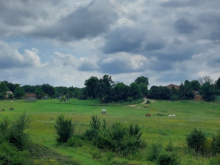 Centre équestre - Plusieurs prairies