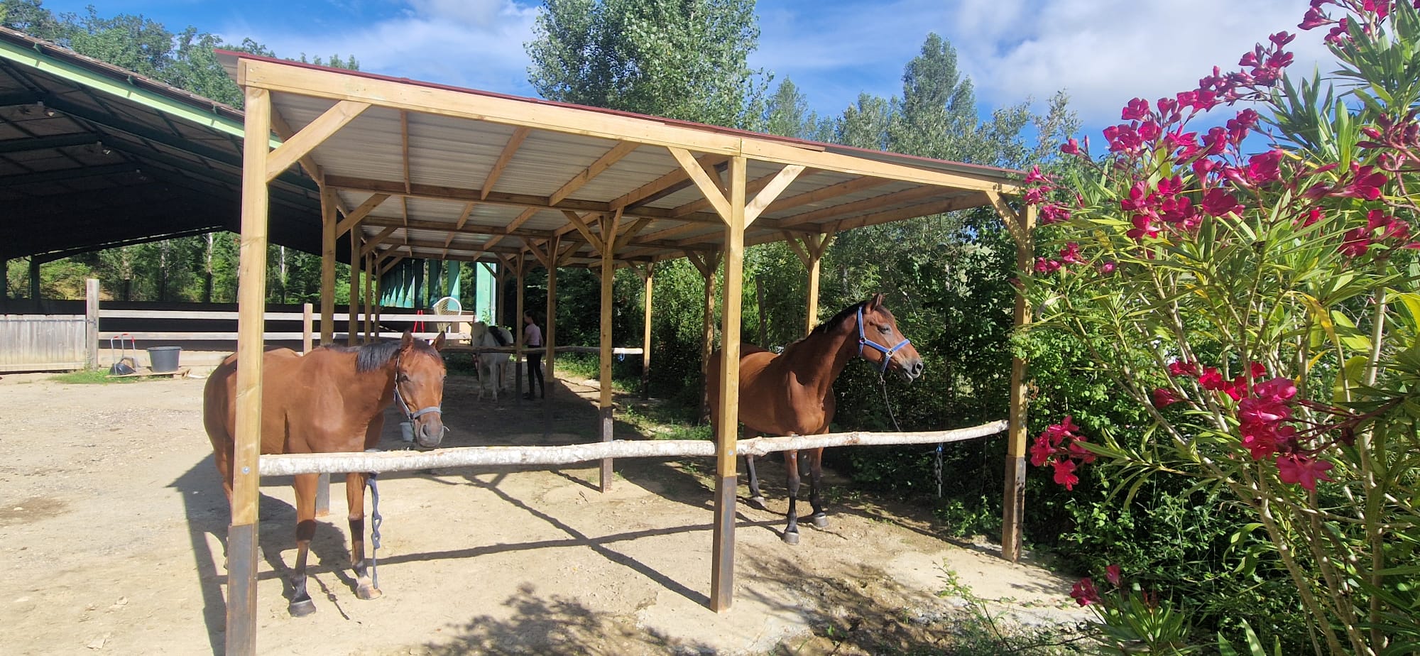 Logo Cheval